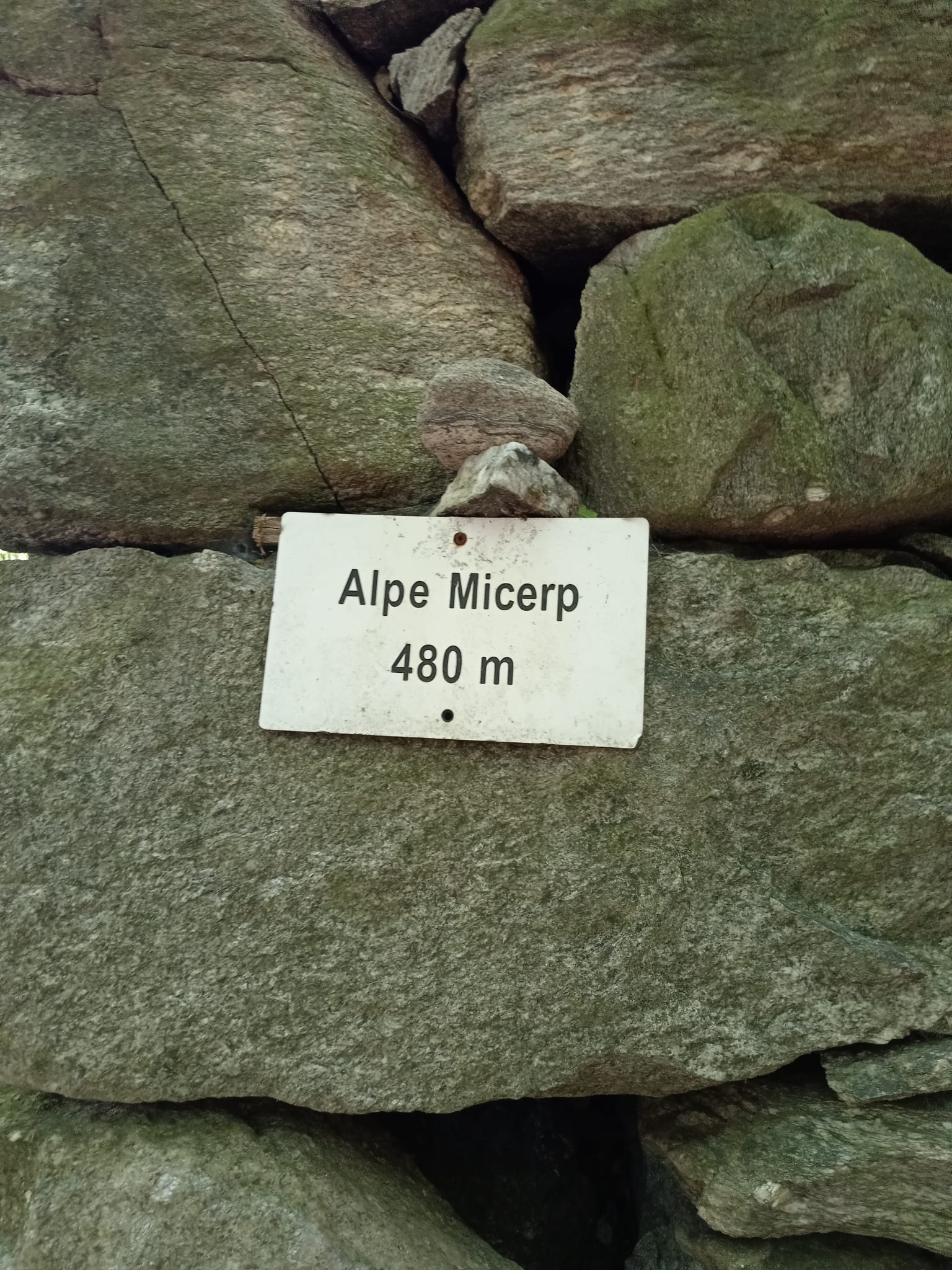 Micerp 2